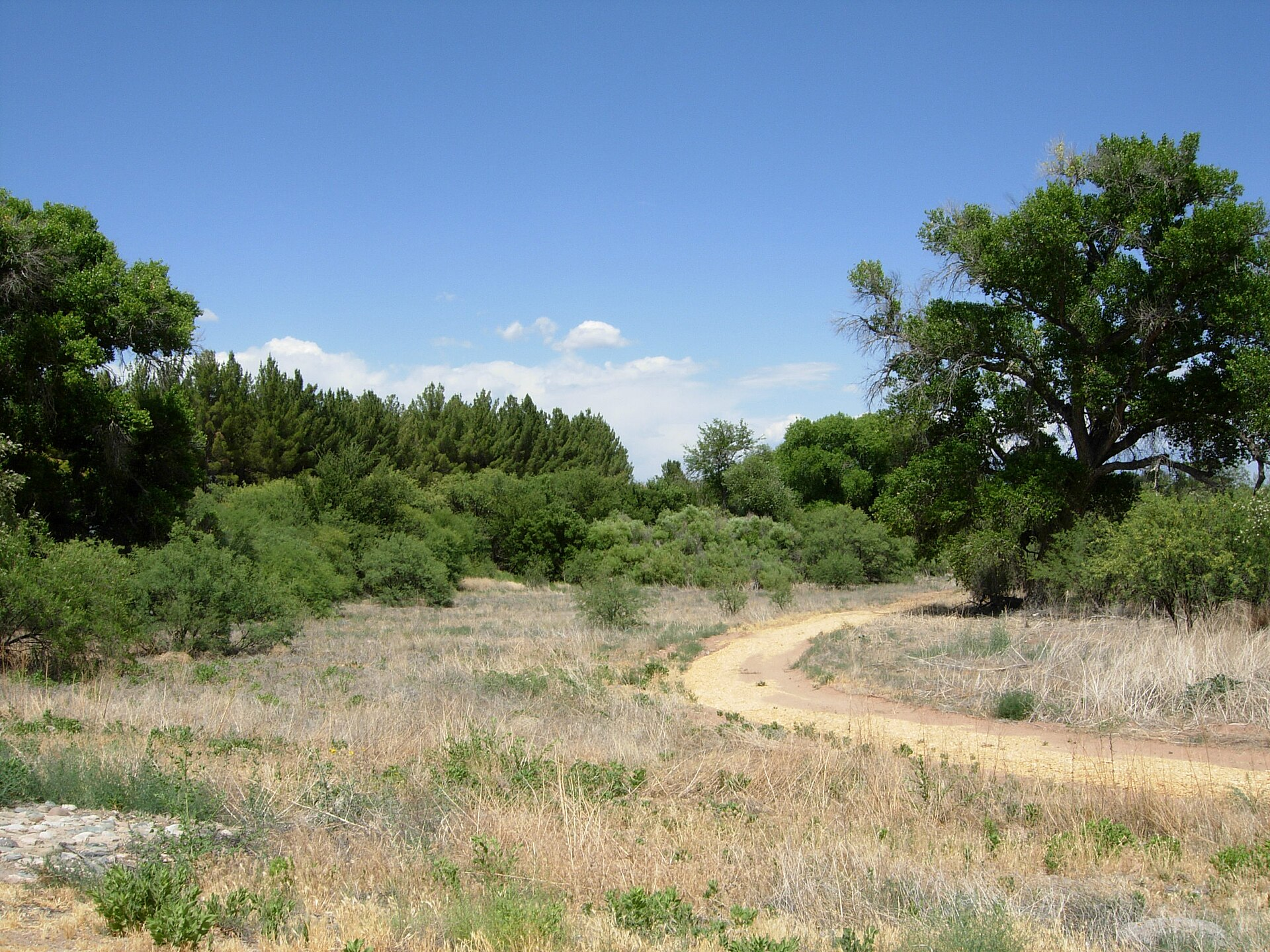 Dead Horse Ranch State Park in Cottonwood Arizona