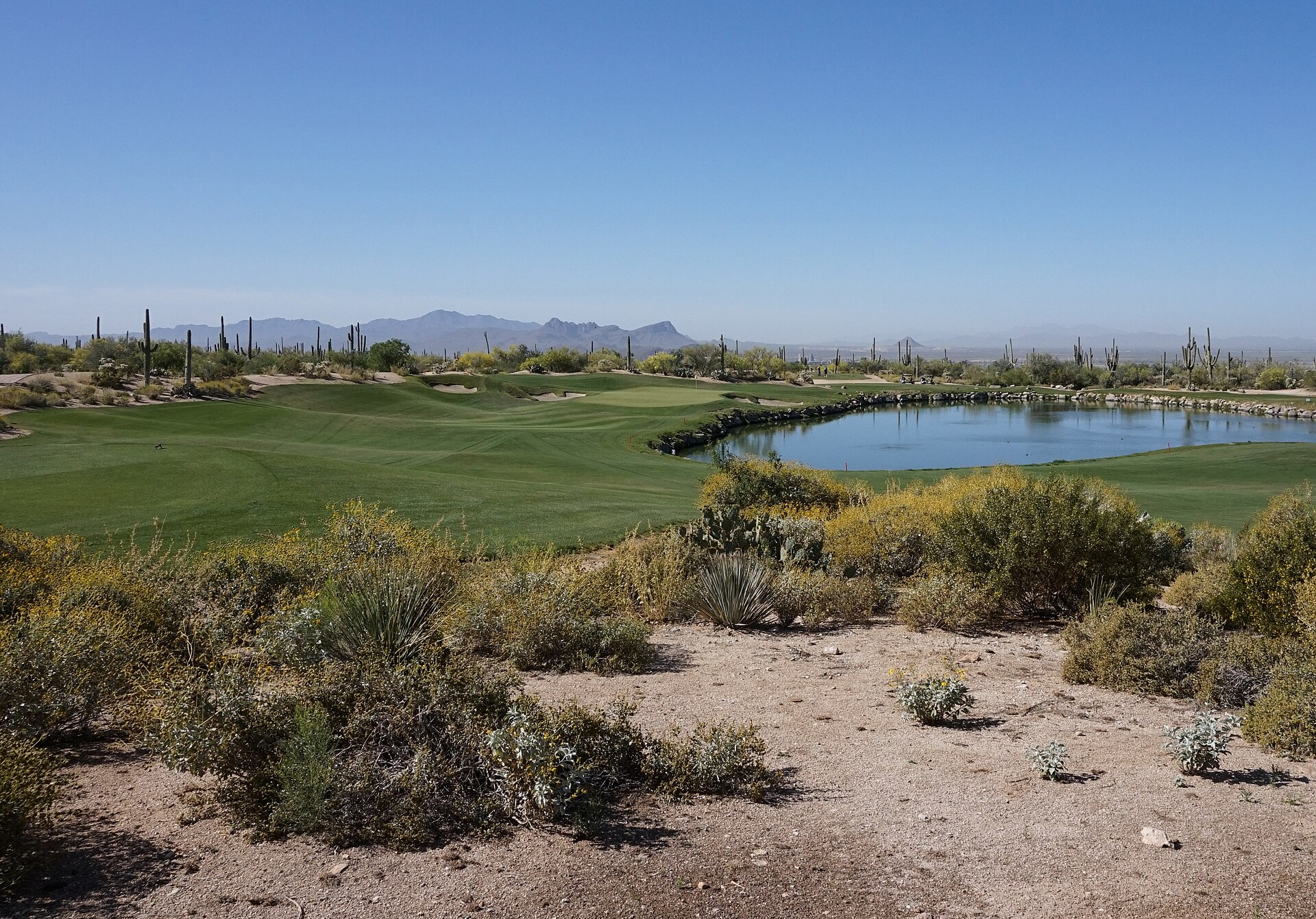 Saguaro golf course at Dove Mountain in Marana Arizona
