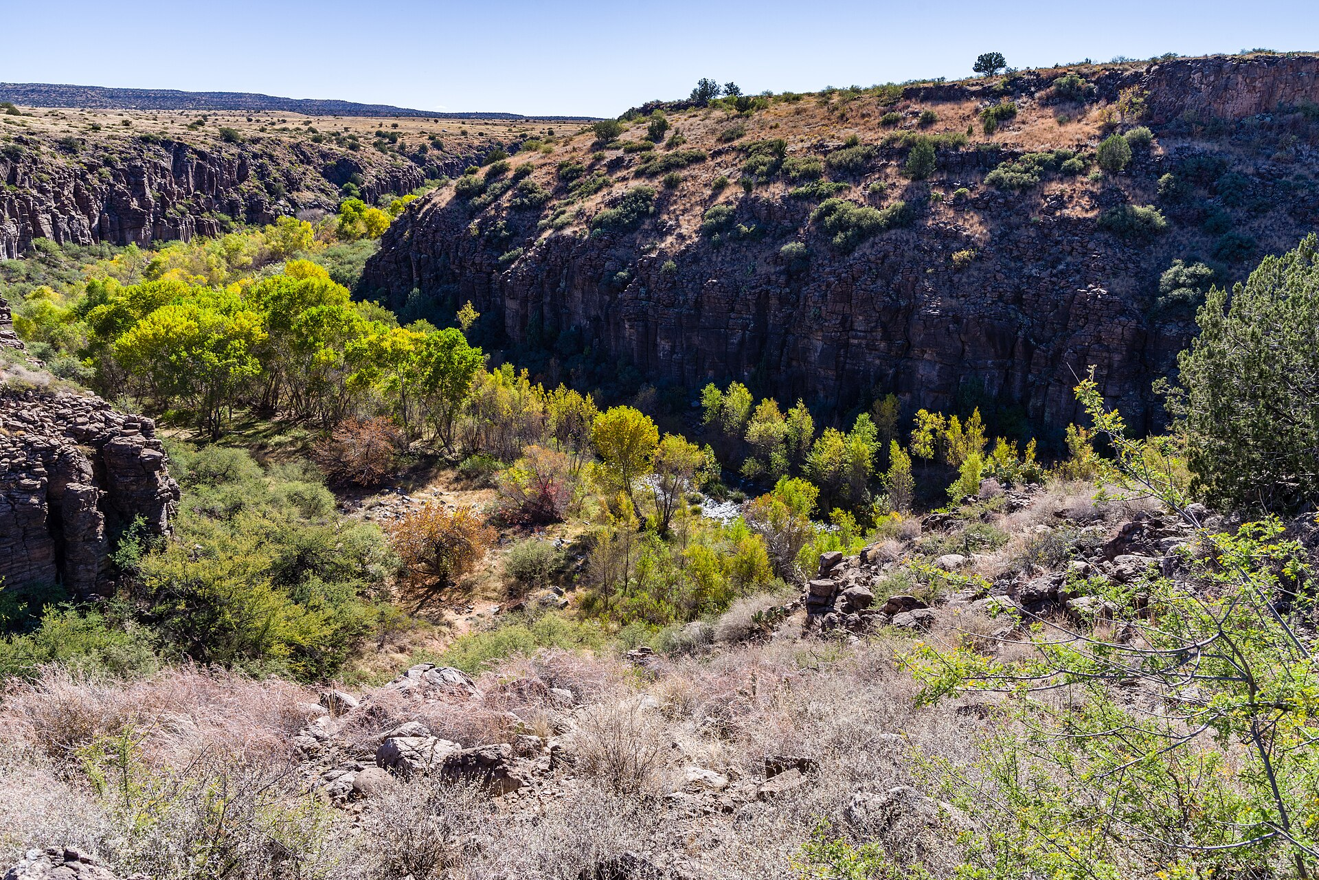 Fall color along the Verde River north of Cottonwood Arizona
