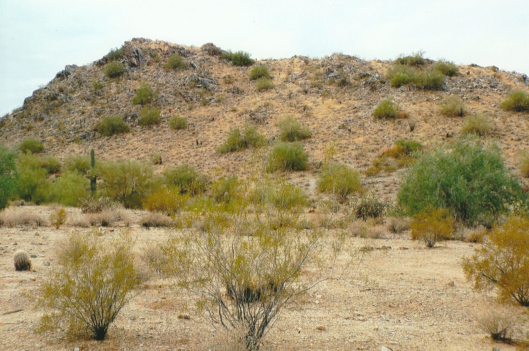 Gold Mountain in San Tan Mountain Regional Park Arizona